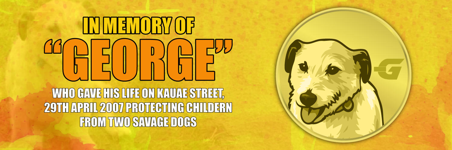George Memorial Banner